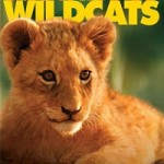 Как стать дикой кошкой - Animal planet - Growing up: Wildcat - Смотреть онлайн