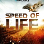 Смотреть скорость жизни speed of life discovery