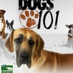 Введение в собаковедение - 101 Dogs - Смотреть онлайн - На русском - Animal Planet