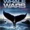 Китовые войны