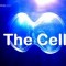 Клетка - Из чего состоит жизнь